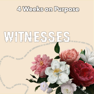 4 week youth ministry series on purpose